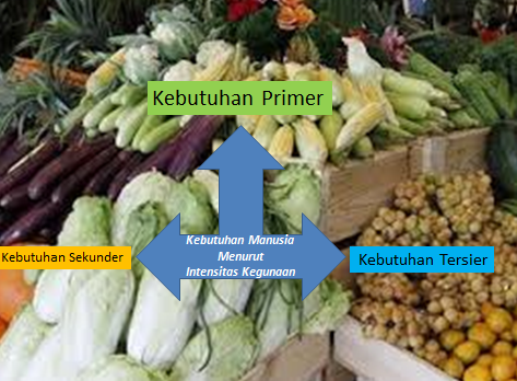 FaktorFaktor Penyebab Terjadi Perbedaan Kebutuhan Setiap Orang Edu