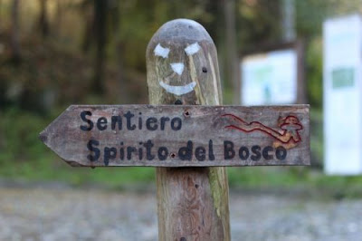 Trekking al Sentiero Spiriti del Bosco di Canzo - Como
