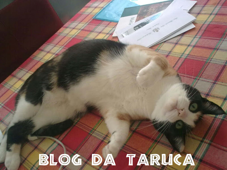 blog da taruca