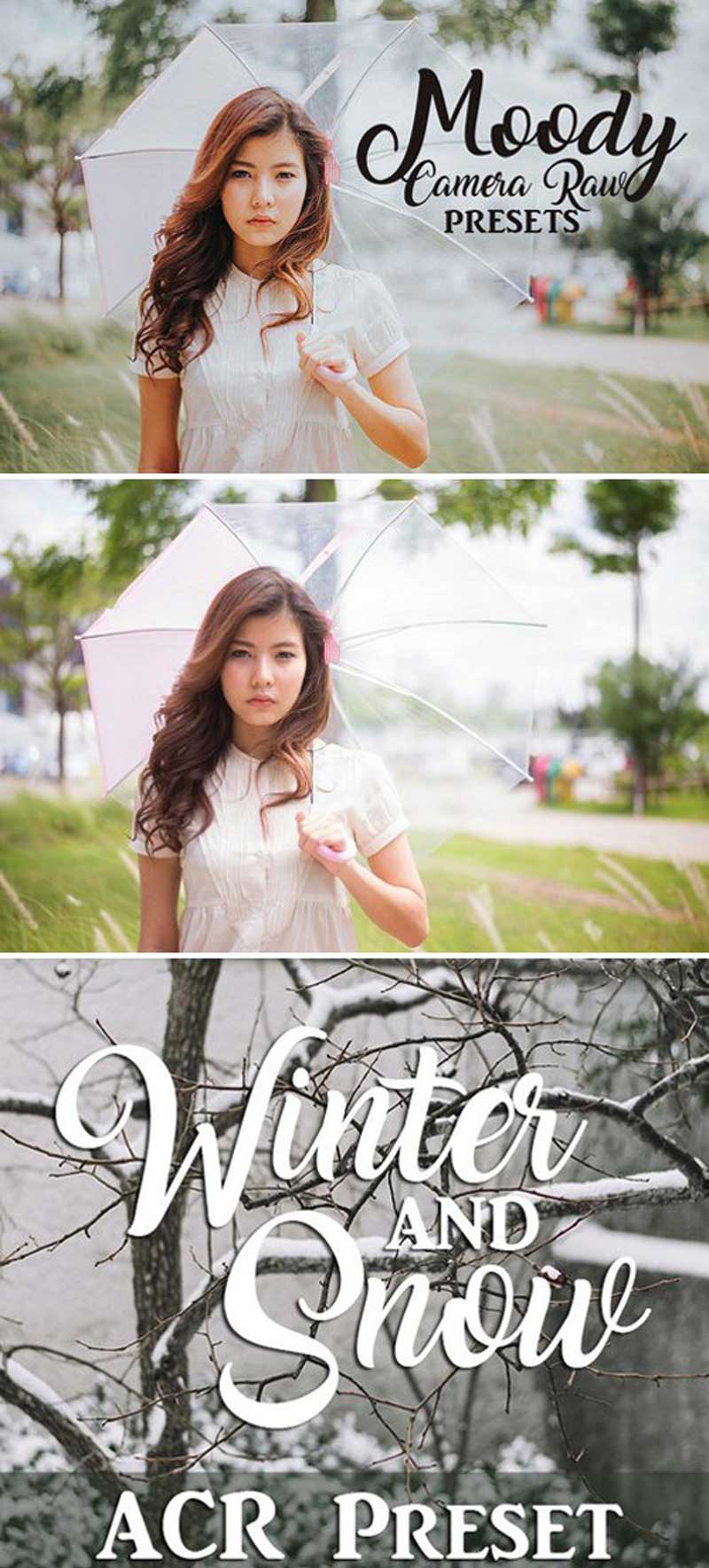 CM - Camera Raw Preset Collection 1941088 2 yujhyt