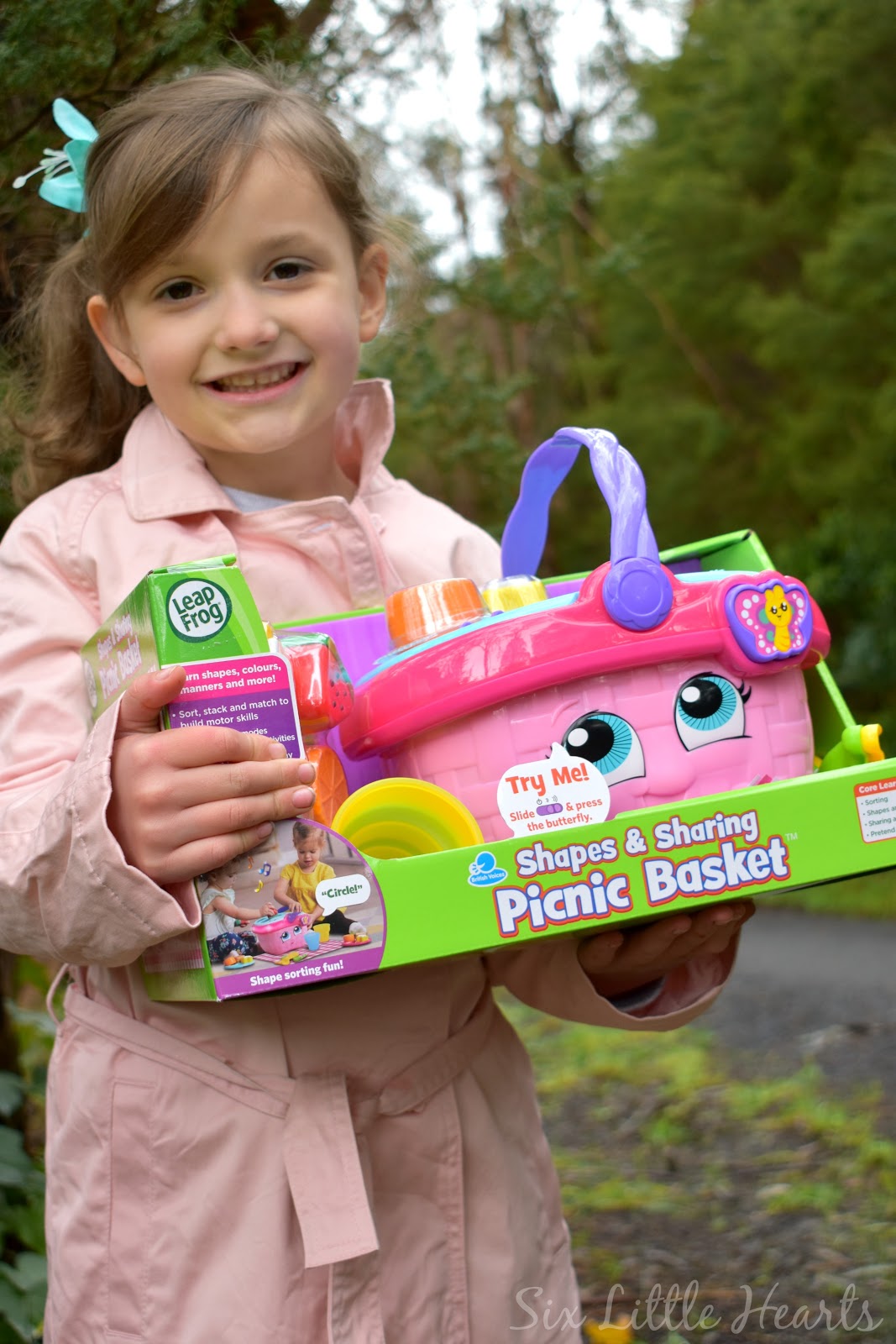 shape sorter picnic basket