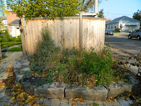 Toronto garden cleanup Broadview North before by Paul Jung Gardening Services