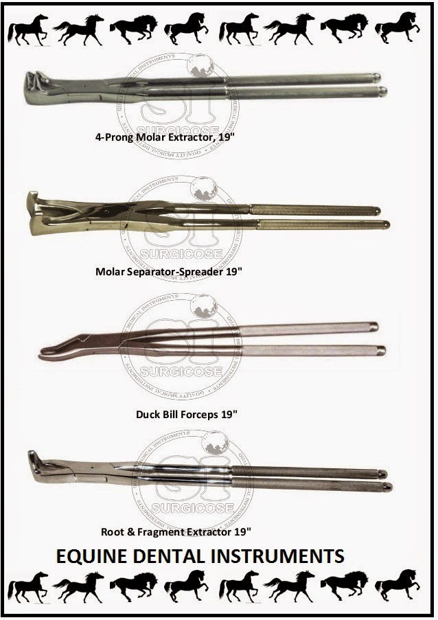 SURGICOSE DENTAL INSTRUMENTS EQUINE DENTAL TOOLS