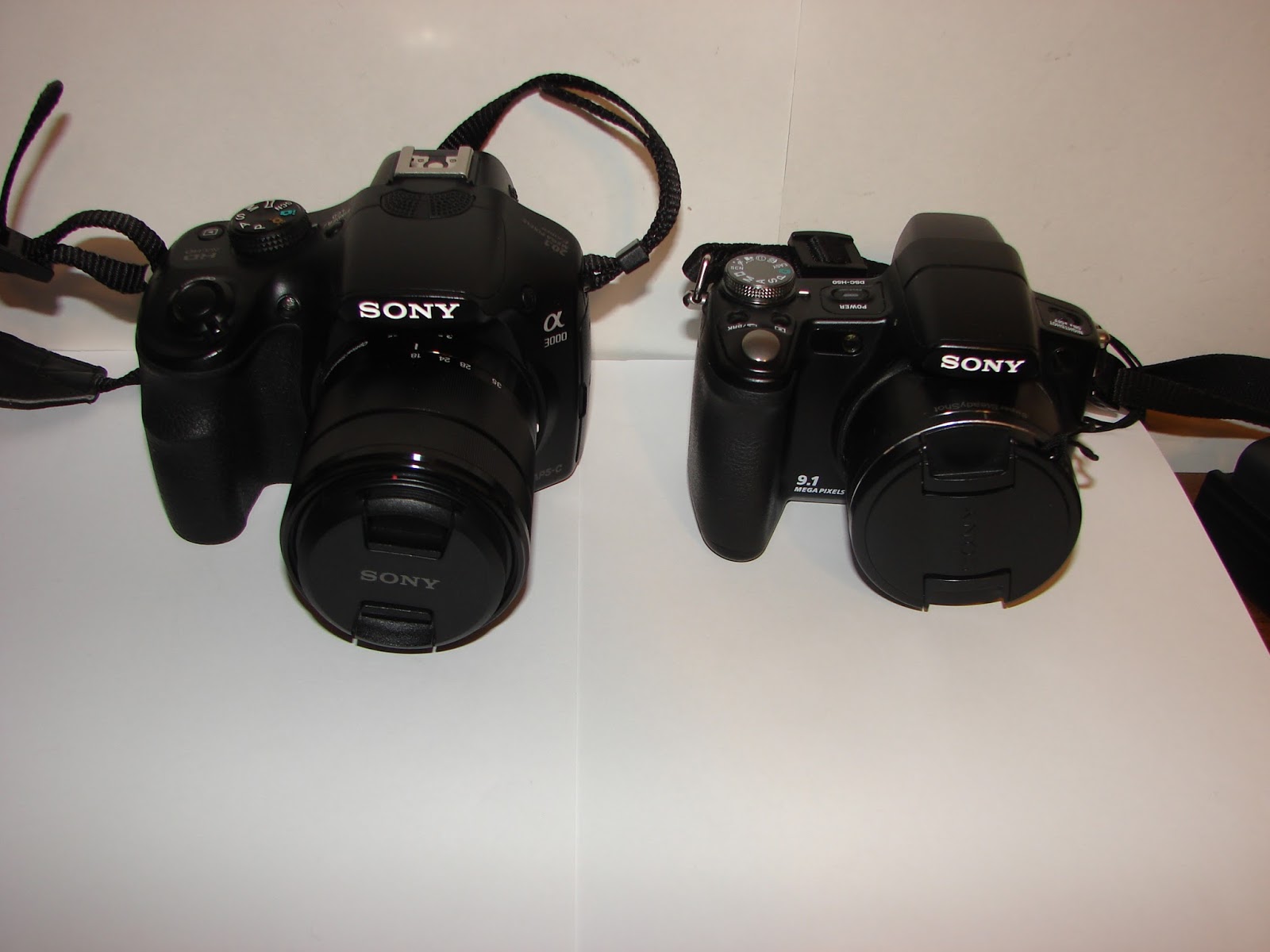 Sony dsc h5. Sony DSC-h2. H50 Sony фотоаппарат. DSC-h10. Фотоаппарат сони полупрофессиональный h10.