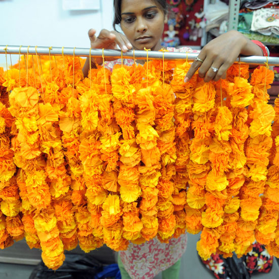 I am a free spirit and Lover of INDIA The significance of garland in India