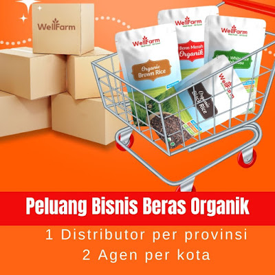 peluang usaha beras organik