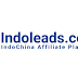 Indoleads