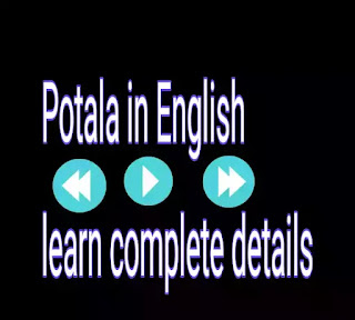 Potala vegetable in English