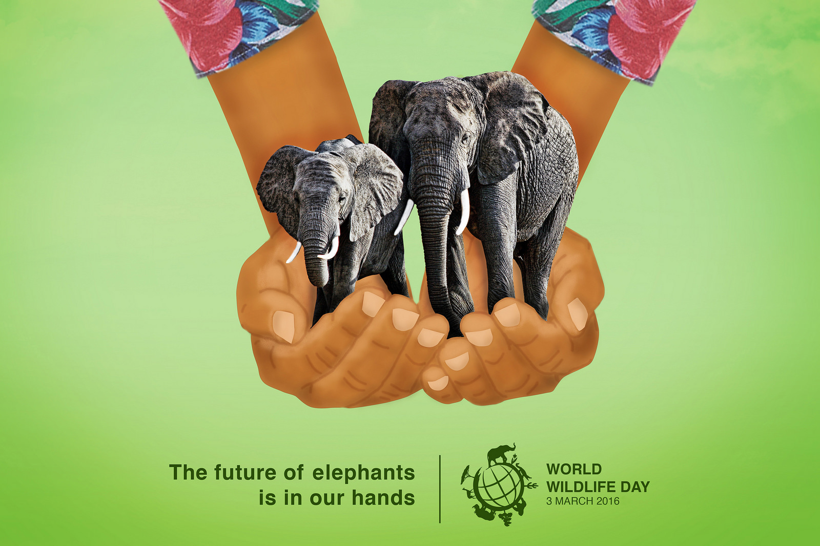 Всемирный день дикой природы мероприятия. День защиты дикой природы. Всемирный день природы. Международный день защиты животных. Всемирный день диких животных.