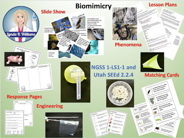 Utah SEEd Standard 2.2.4 Design thinking