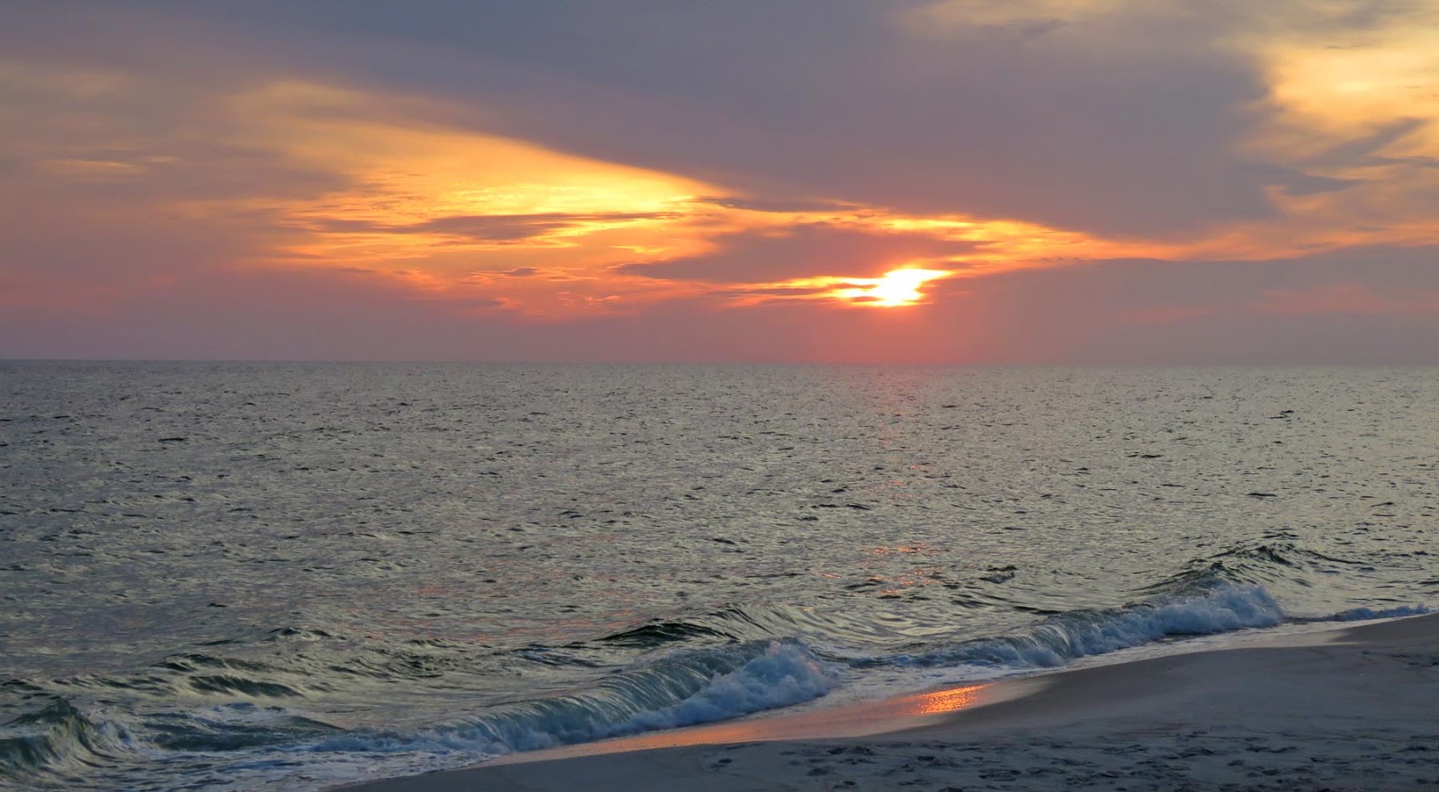 Snake That Looked Right Into Your Soul During a Sunset Moment