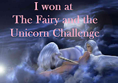 Fairy Challenge Winner