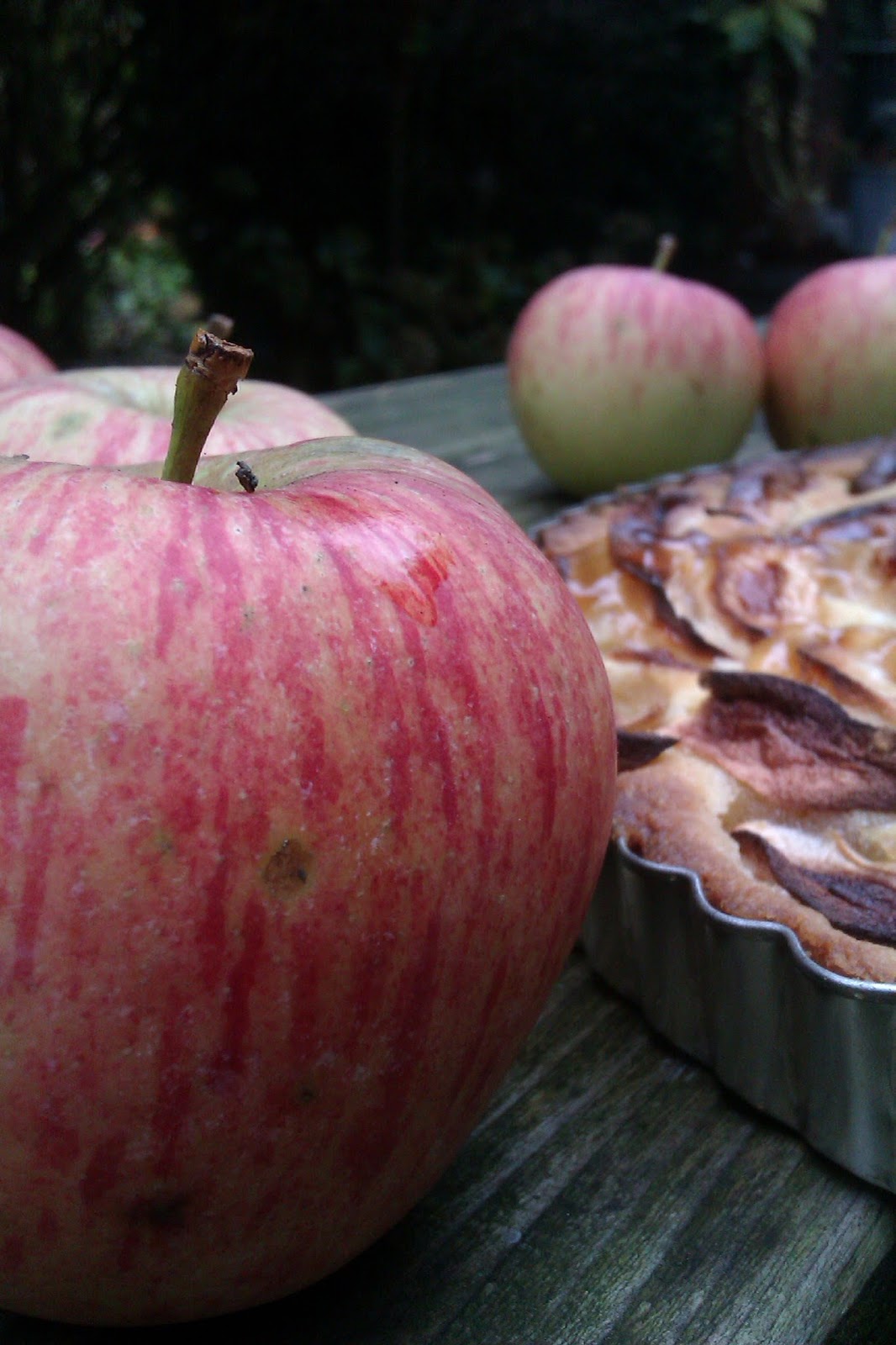 Frau Frieda: Apfel-Marzipan-Tarte