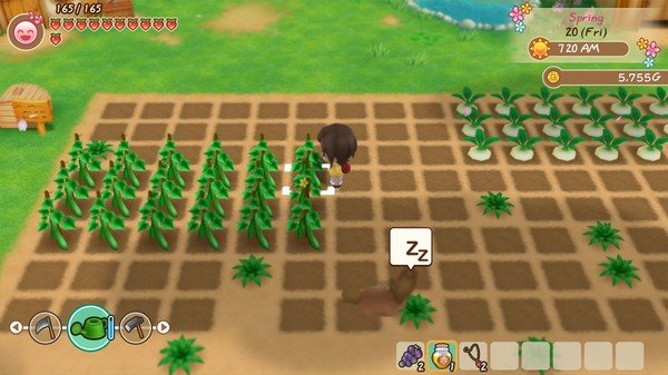 STORY OF SEASONS: Friends of Mineral Town (2020) PC Full Español STORY OF SEASONS: Friends of Mineral Town (2020) PC Full Español