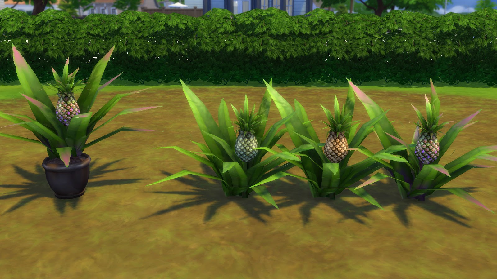 Sims 4 CC's The Best Aloha Pineapples by Snowhaze