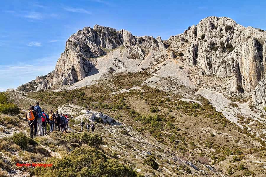 BICHOS Y MAS VLC UN PASEO POR LA SIERRA DE LA SERRELLA O EL PIRINEO