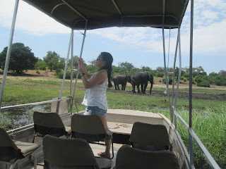 Boat cruise in the Chobe national park