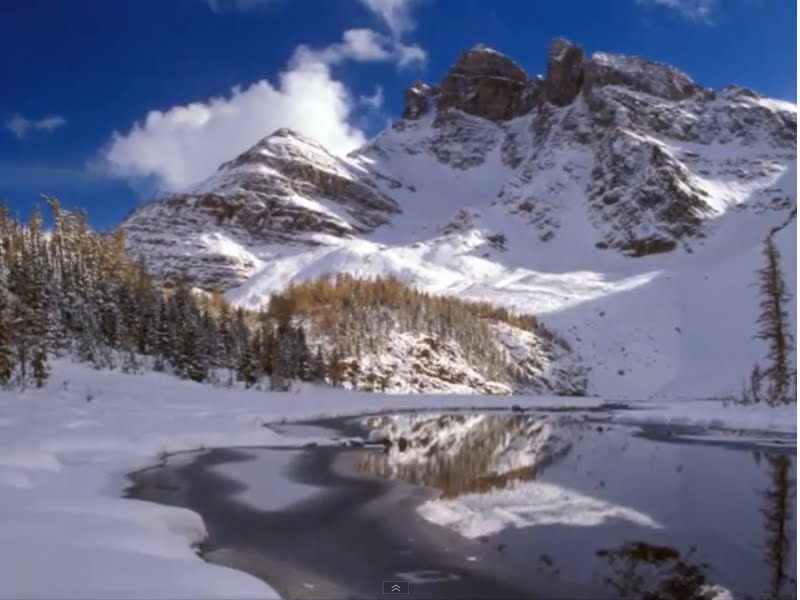 Christmas of Sinterklas bank holidays christmas 2011 new year 2012 in