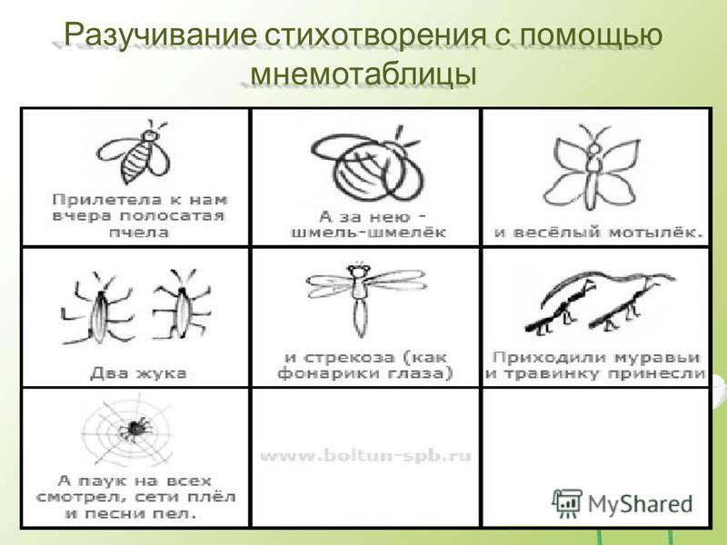 Занятие развитие речи насекомые. Мнемотаблицы насекомые для дошкольников. Схема составления описательного рассказа о насекомом. Мнемотаблица про насекомых для дошкольников. Схема для рассказа о насекомых.