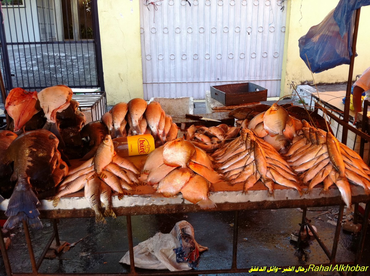 اقرب شركة زين السعودية