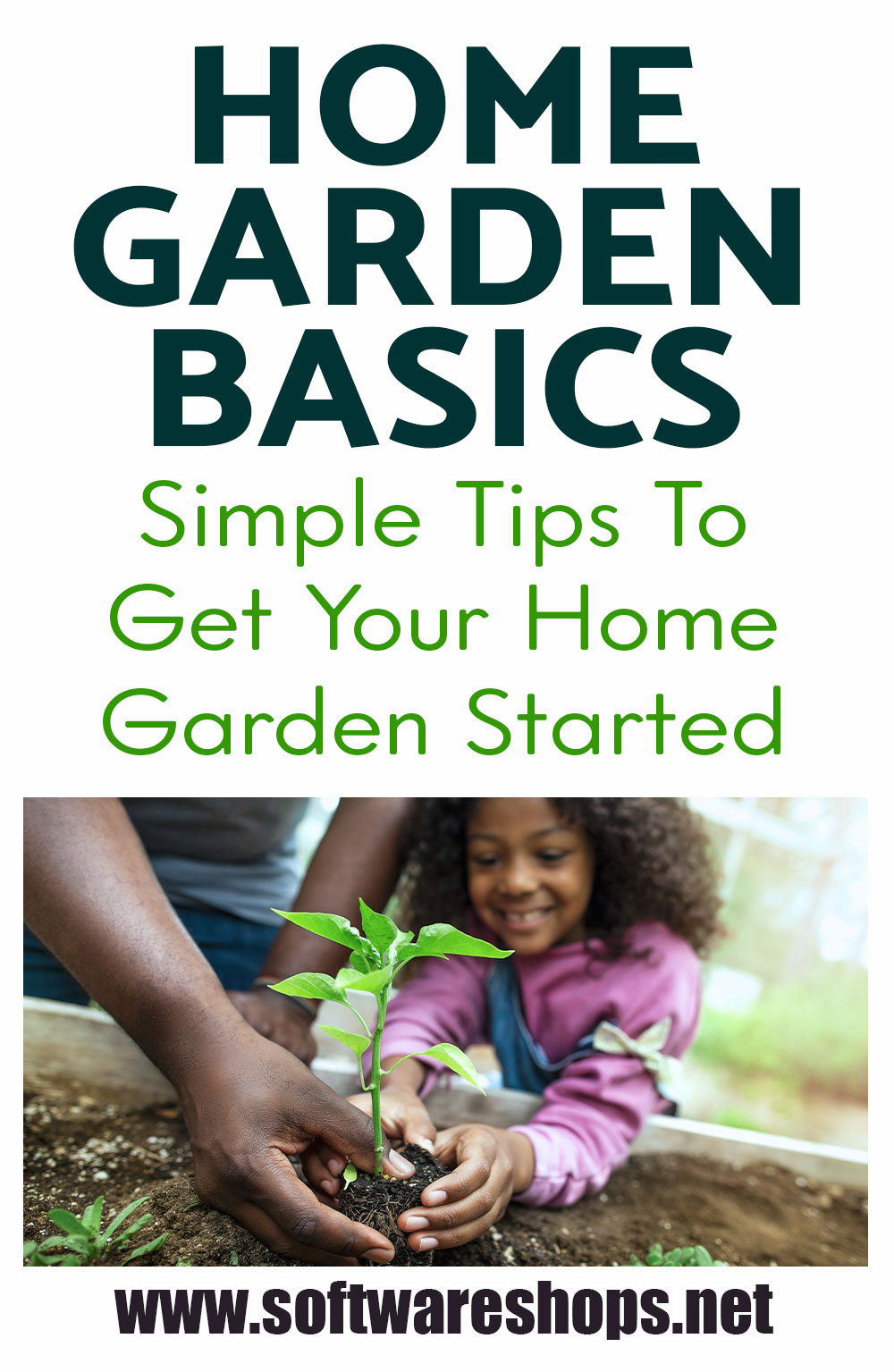 Home Garden Basics