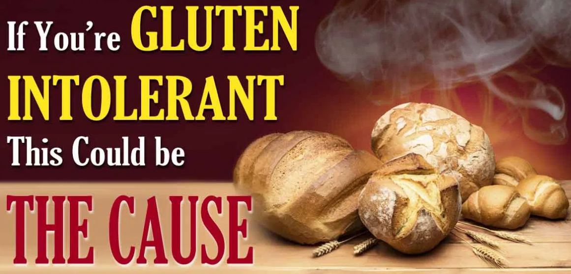 We Are Not Gluten Intolerant, We Are Intolerant To Glyphosate