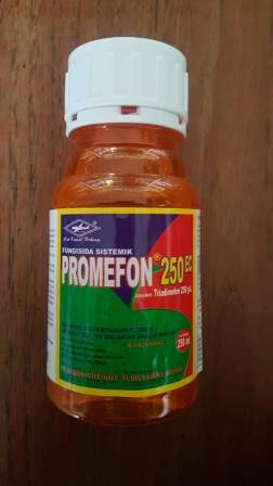 Toko Pertanian Petani Indonesia Lmga Agro Fungisida Sistemik Promefon 250 Ec Mengendalikan Penyakit Tanaman