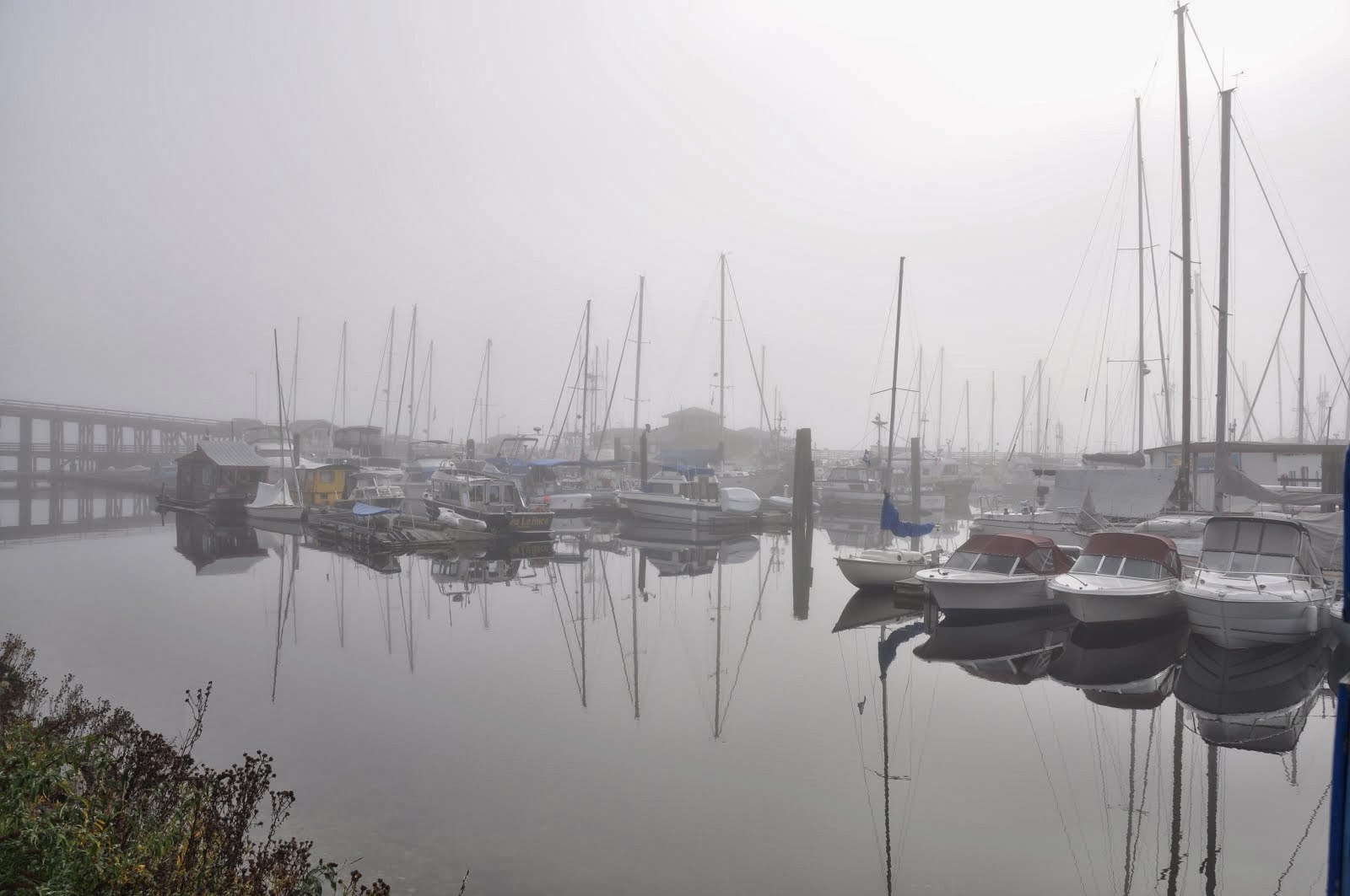 Gibsons Landing 'in the fog'