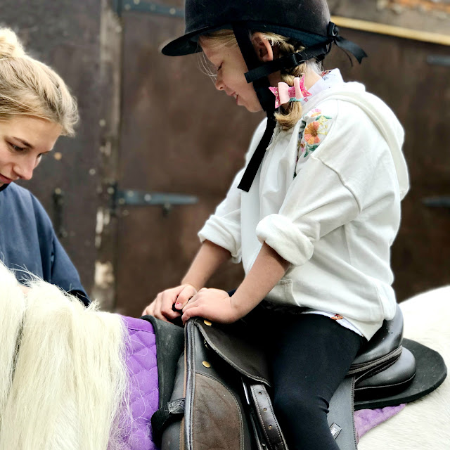 Lily's Birthday Trip Ruislip Park Stables Our Cherry Tree