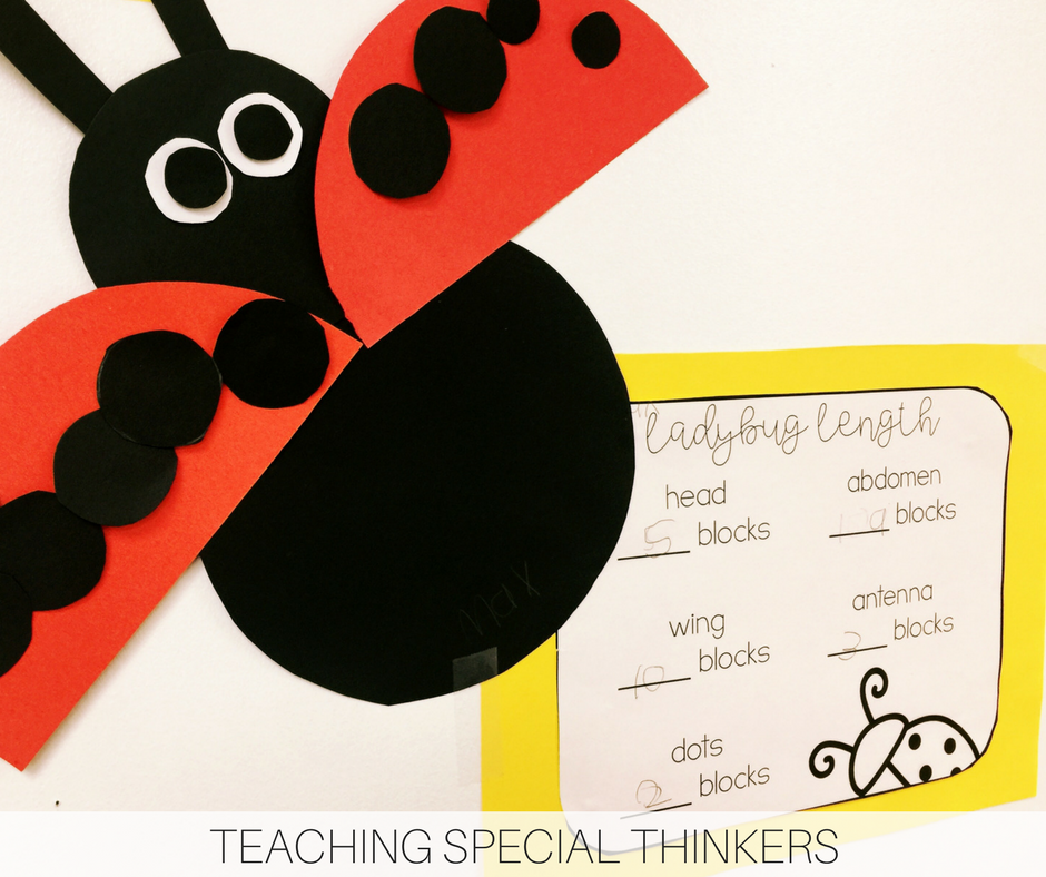 Ladybug Length Measurement Creativity