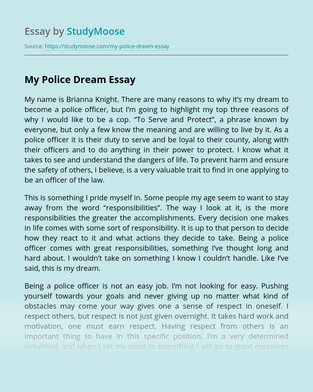 essay on police violence