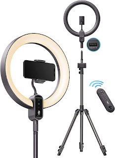 TaoTronics Ring Light CL025, 12'' Ring Light with 78'' Tripod Stand, Dimmable LED Light Outer 24W 6500K, USB Charging Port, Carrying Bag, Light Remote Control for YouTube TikTok Live Stream Video