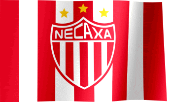 Club Necaxa Flag (GIF) - All Waving Flags