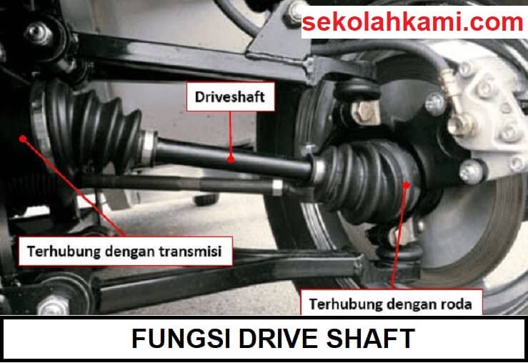 Fungsi Drive Shaft 3 Fungsi & Ulasannya Sekolah Kami