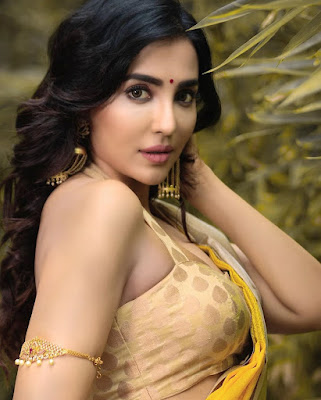 Tamil Actress Parvati Nair Latest Hot Photos in Saree Tamil Actress Parvati Nair Latest Hot Photos in Saree