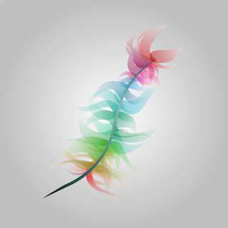 wallpaper feather colorfull 