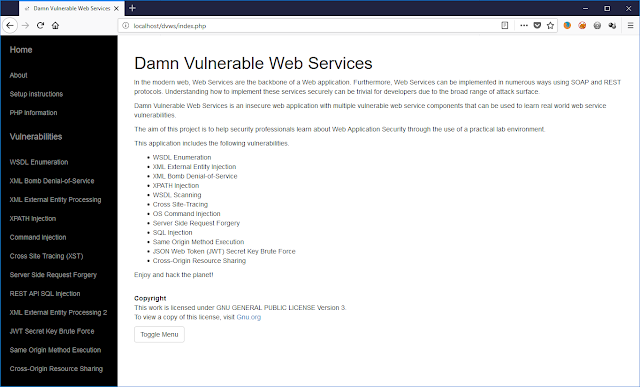 Damn Vulnerable Web Services (DVWS) - Walkthrough
