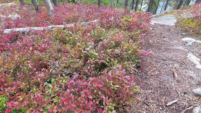 Vue à partir du Sentier du Fjord