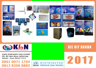 JUKNIS DAK BKKBN 2017,BKB KIT,KIE KIT,OBGYN BED,OBGYN BED BKKBN 2017,SARANA PLKB.PPKBD/Sub PPKBD , BKKBN 2017 - GenRe Kit 2017 - Iud Kit 2017 - Kie Kit 2017 - Implant Kit 2017- Sarana PLKB  2017- BKB Kit 2017 - Obgyn Bed Bkkbn 2017, Kie Kit Bkkbn 2017, Implant Kit Bkkbn 2017, Iud Kit Bkkbn 2017, Sarana Plkb Bkkbn 2017, PPKBD/Sub PPKBD Bkkbn 2017, Lemari Obat Bkkbn 2017, Bkb Kit Bkkbn 2017, Ape Kit Bkkbn 2017, Desktop Pc Bkkbn 2017, Public Addres Bkkbn 2017, Genre Kit BKKBN 2017