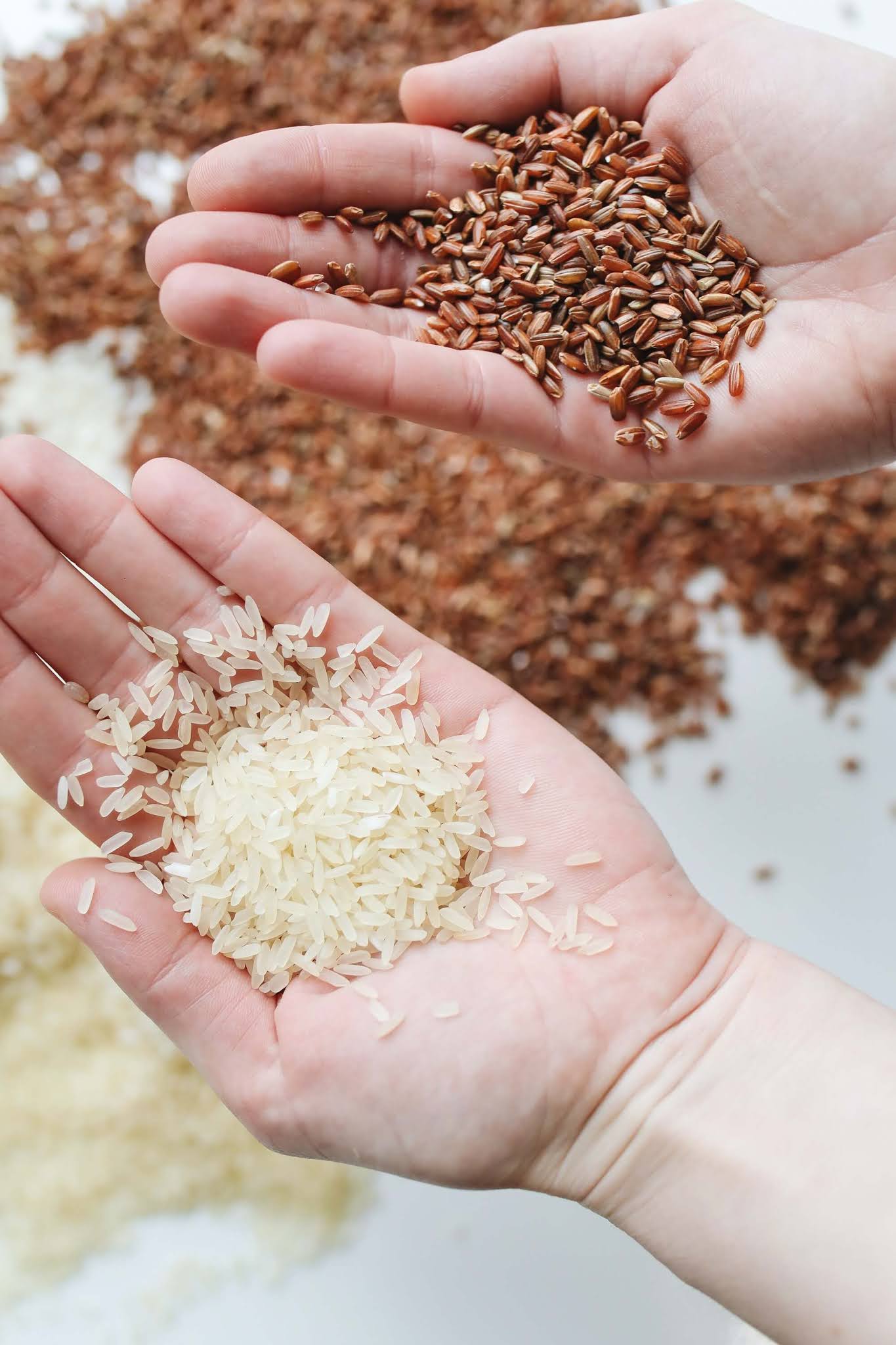 Brown Rice or White Rice Which is the healthiest of them?