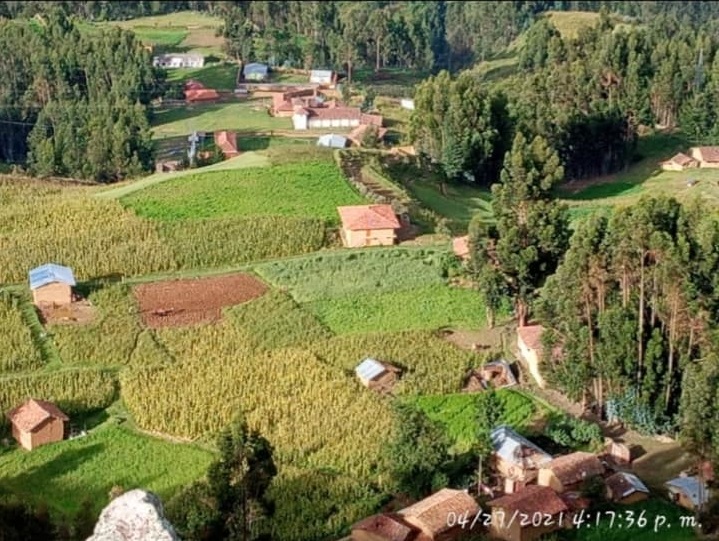 Viñauya