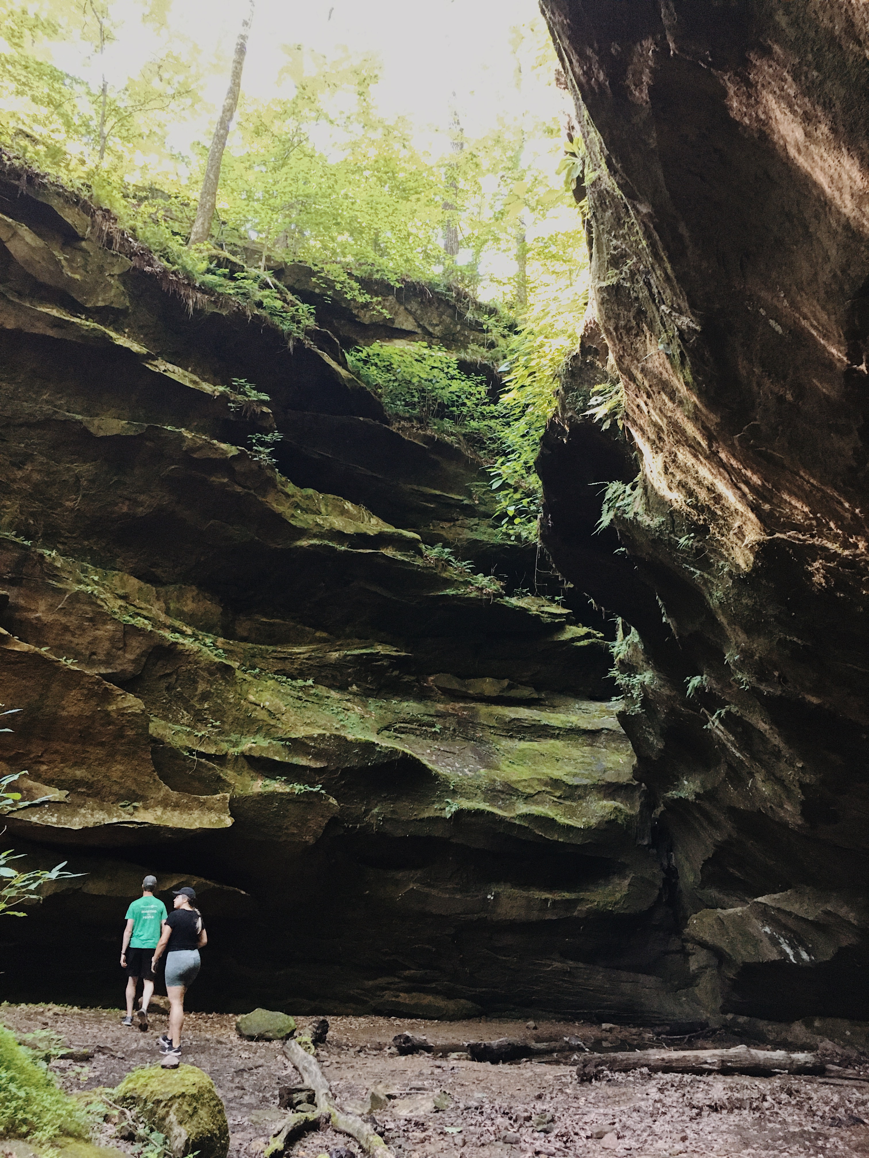 Hoosier National Forest A Little Life