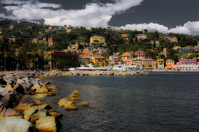 La Toscana - Rinascita - Blogs de Italia - Portofino y la costa de Liguria bien merecen una parada (4)