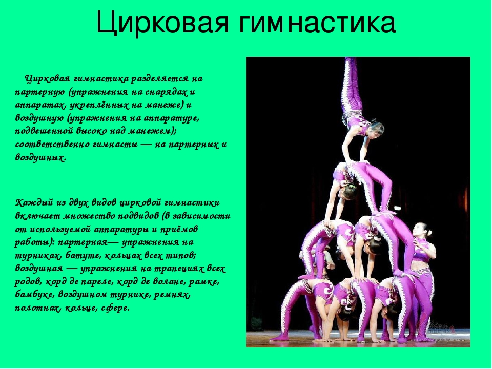 дети акробаты в цирке. загадка про цирк для детей. дрессированные собачки в цирке. с какого возраста можно в цирк ребенку. большой московский цирк.