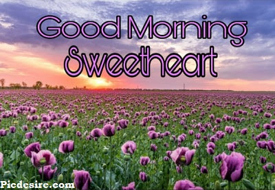 Good Morning Sweetheart, Best 20 Images of Good morning Sweetheart Good Morning Sweetheart, Best 20 Images of Good morning Sweetheart