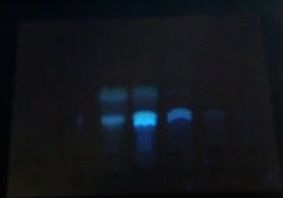 Cromatografia su Strato Sottile TLC Neem di Paolo Pelini