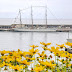 flowers to sailboat Sagres