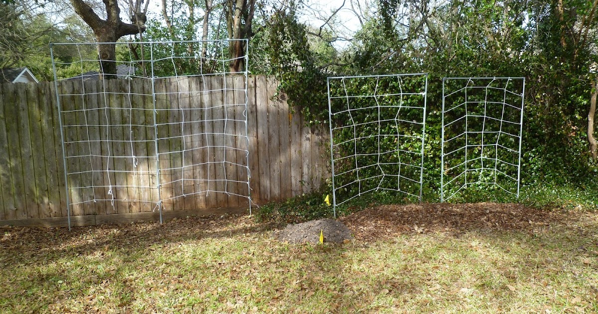 One Lot in Houston The Trellises