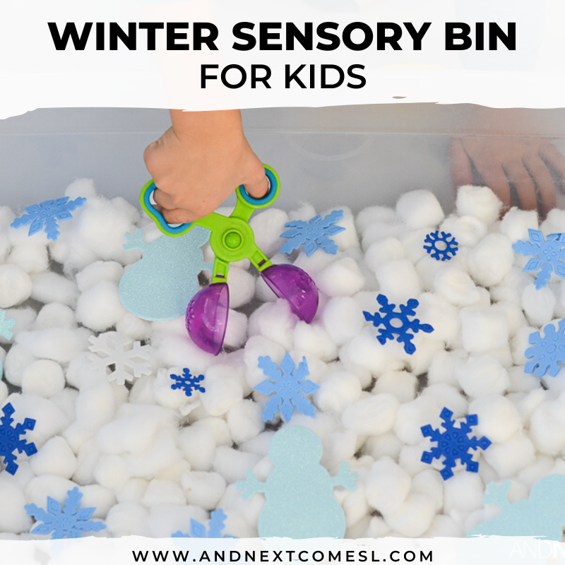 Winter Sensory Bin  And Next Comes L - Hyperlexia Resources