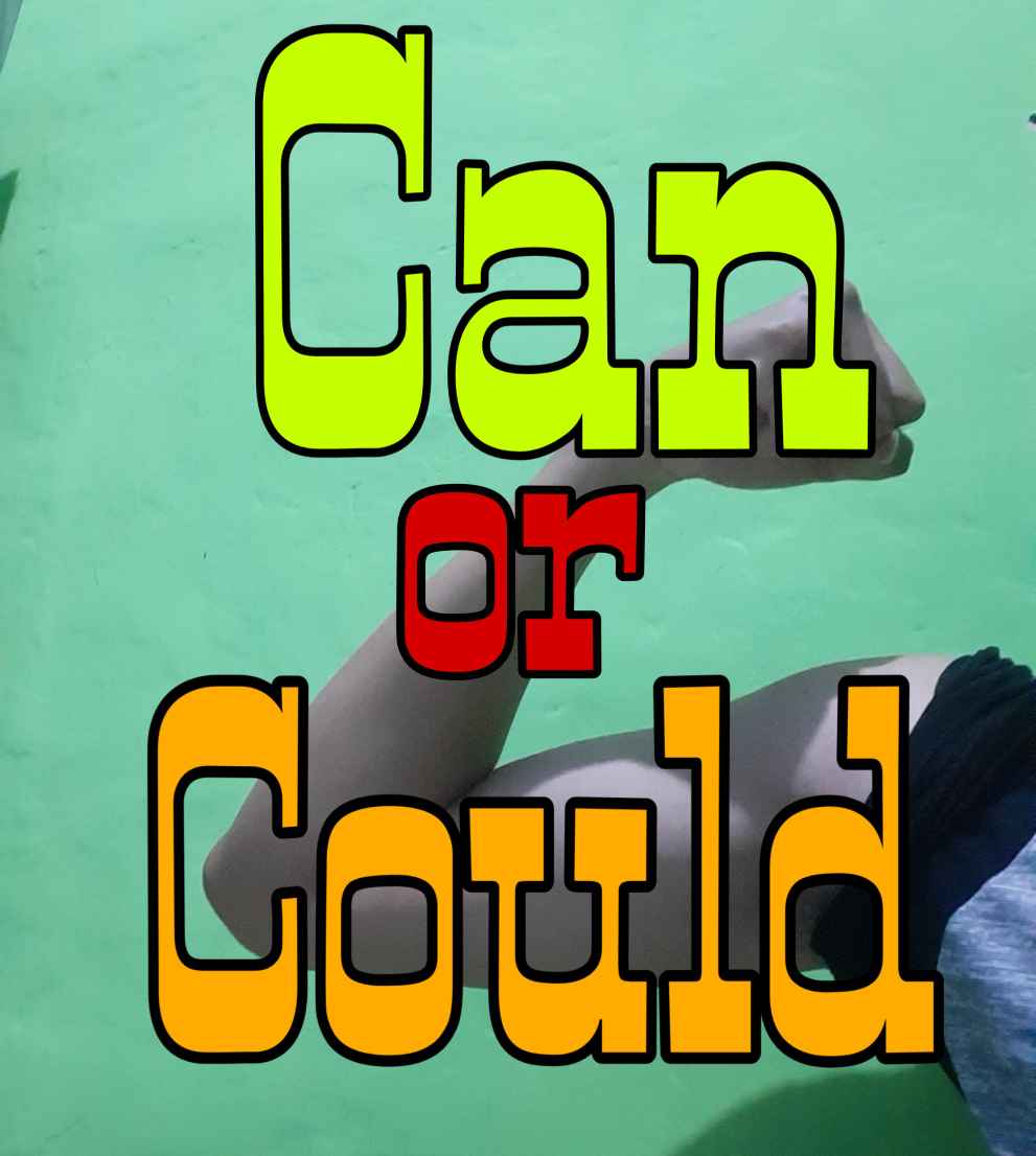 Perbedaan Can Dan Could Dalam Bahasa Inggris Dalam Be vrogue.co